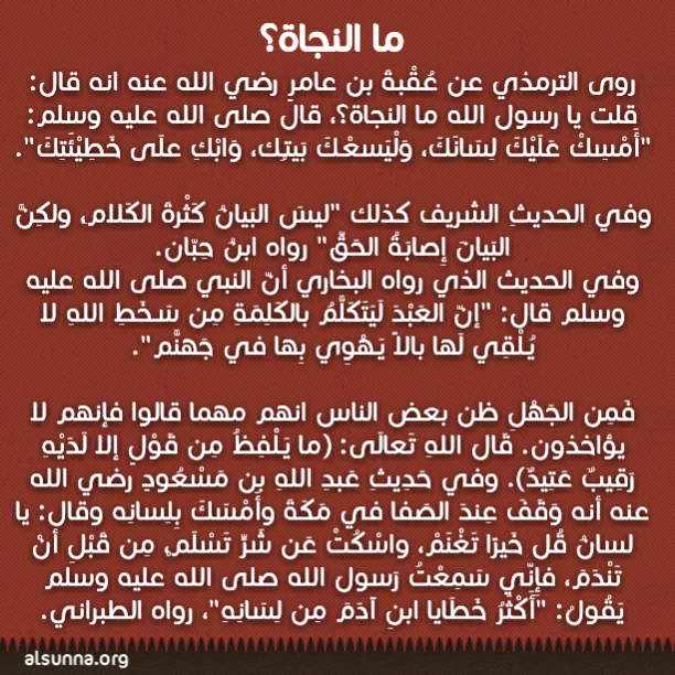 Islamic Quotes and Sayings Idioms (91)