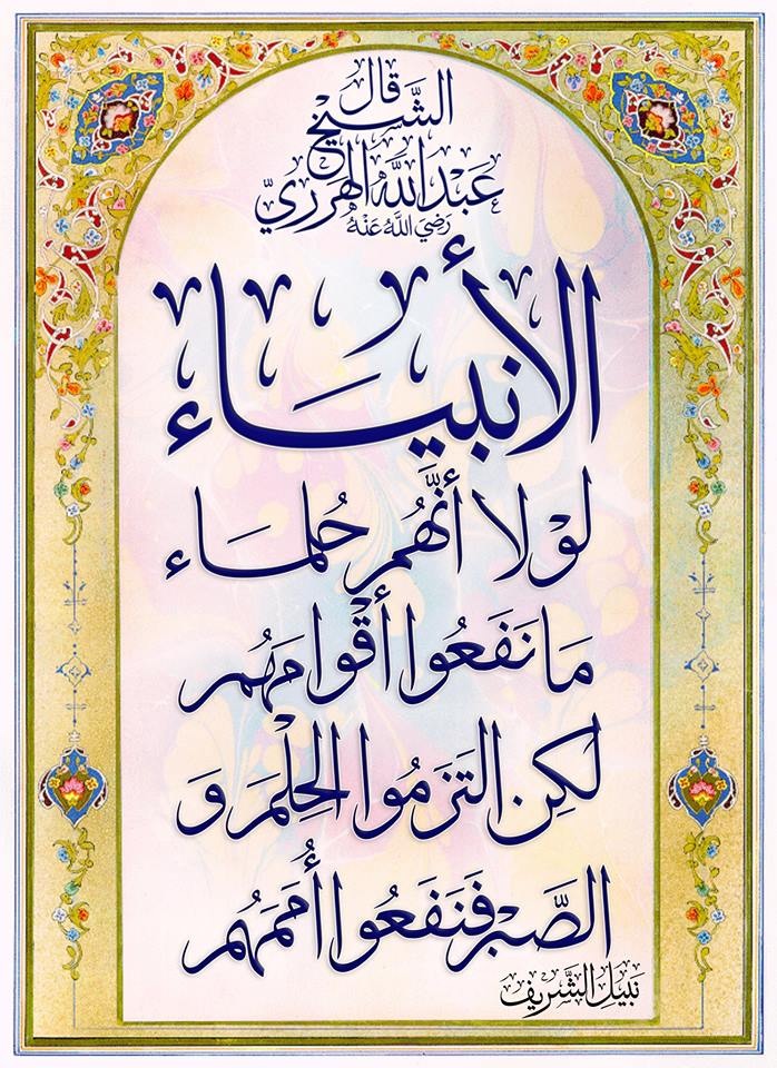 Islamic Quotes Beliefs and Sayings (19)