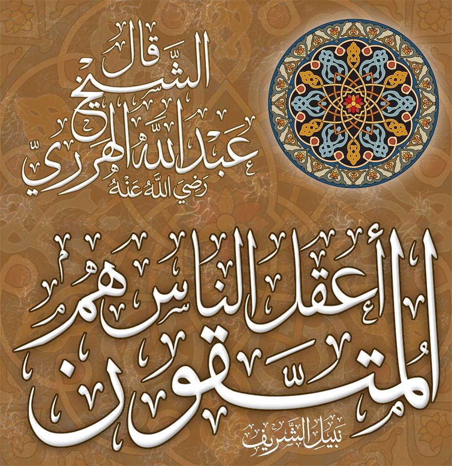 Islamic Quotes Beliefs and Sayings (20)