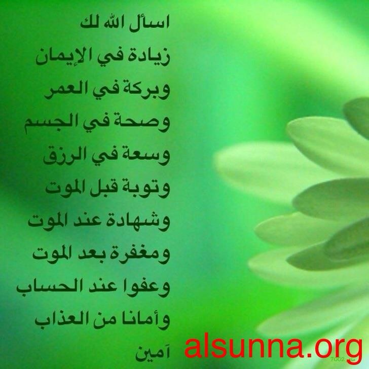 Islamic Quotes Beliefs and Sayings (36)