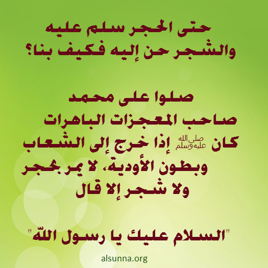IslamicQuotes Facebook Instagram (8)