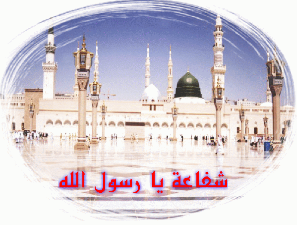 SHAFA3A2