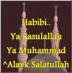 alsunna org habibi
