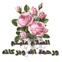 salaam