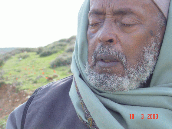 sultan2