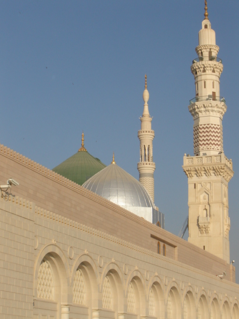 Green and Silve Domes