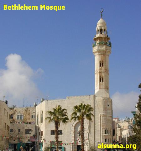 bayt4