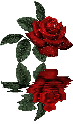 dynamicRose