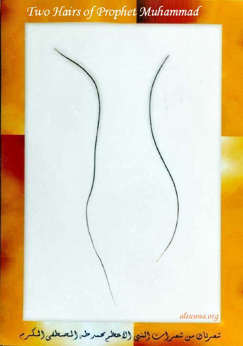 hair