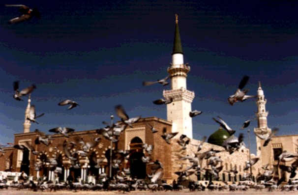 madina-0014