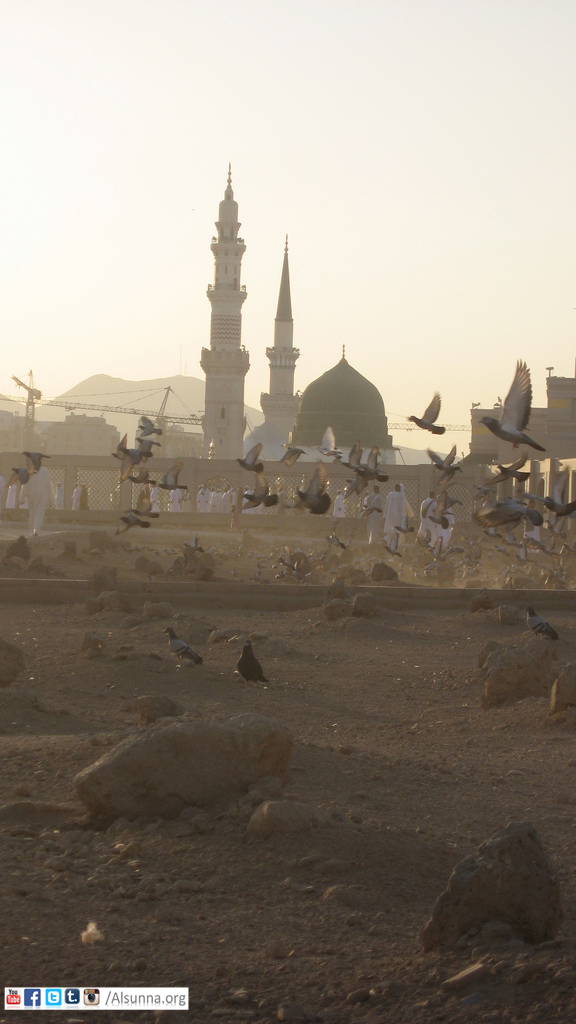 madina-shareef-91