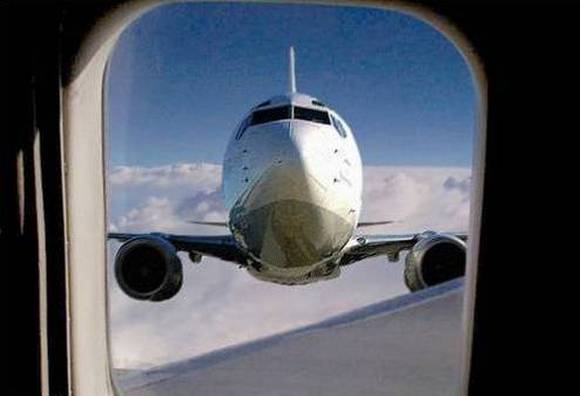 funniest pictures (12)