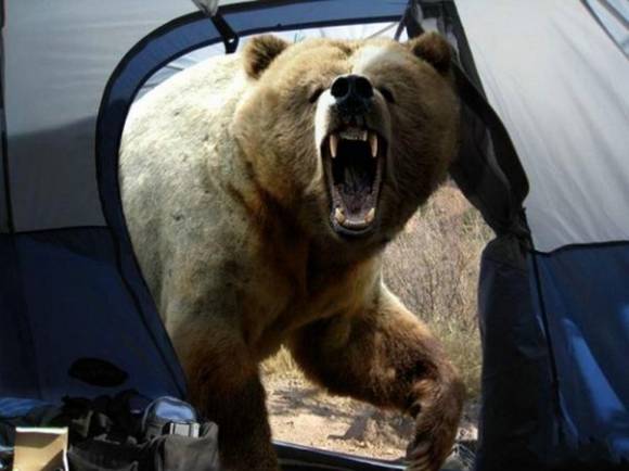 funniest pictures (14)