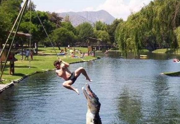 funniest pictures (16)