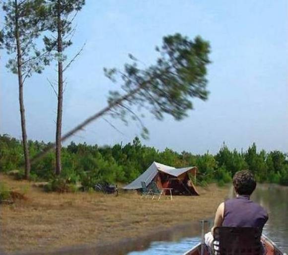 funniest pictures (20)