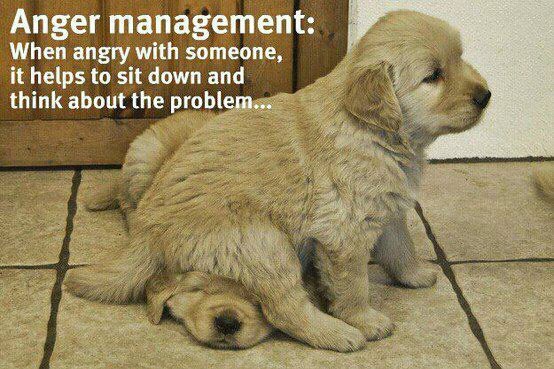 Anger Management Tip لا تغضب بل فكر