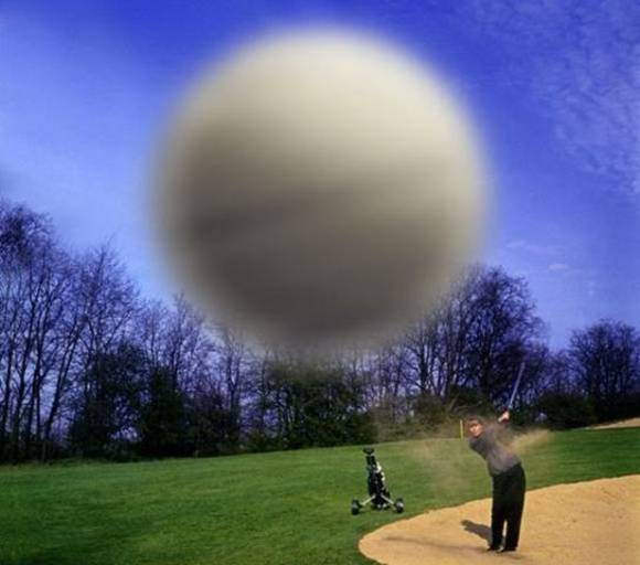 funniest pictures (6)