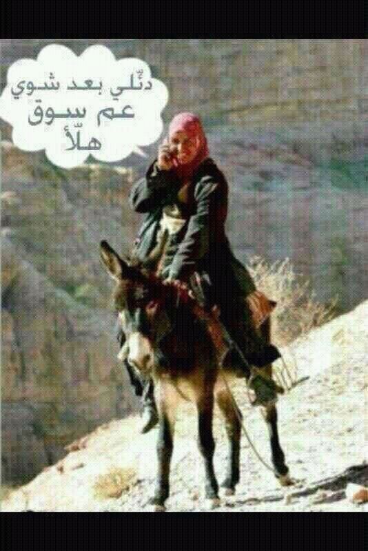 Funny Donkey Ride