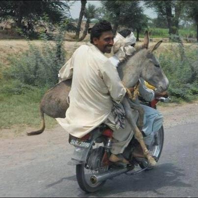 Send this Funny Picture (13)
