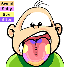 tongue