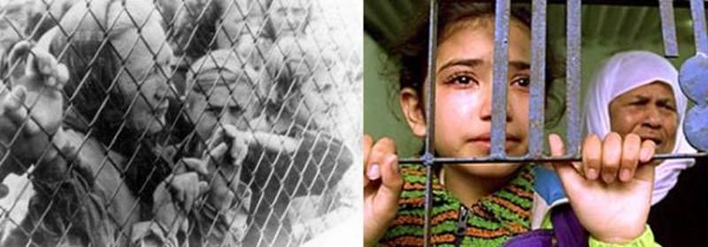palestinians vs jews (1)