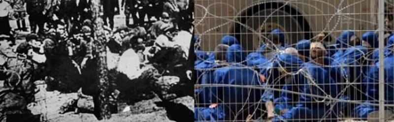 palestinians vs jews (4)