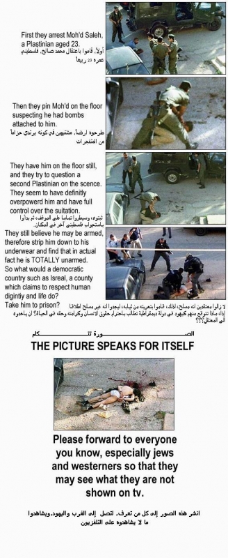 Palestine - Onsite Jewish Crime