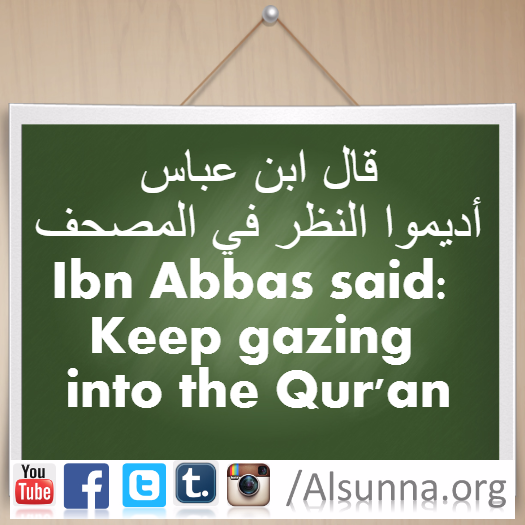 Engilsh Proverbs Arabic Quotes (28)