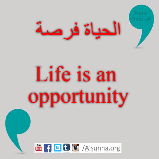 English Provers Arabic Quotes (69)