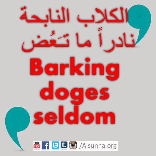 English Provers Arabic Quotes (95)