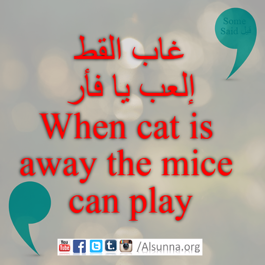 Proverbs Maxims Aqwal Quotes (6)