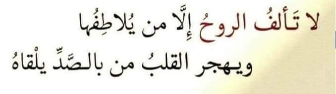 Islamic Pictures (46)