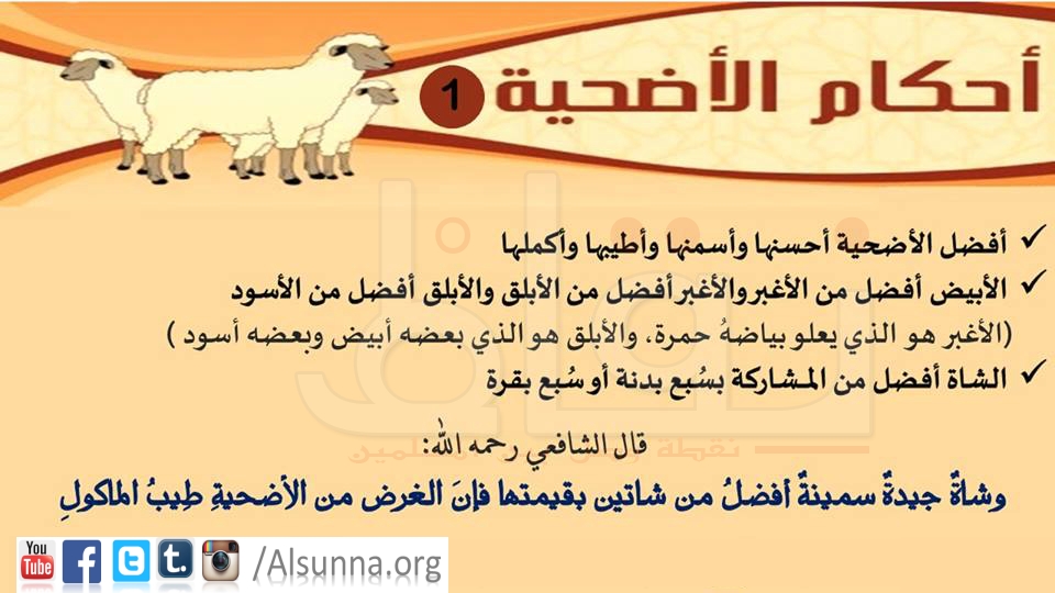 Udhiah Qurban Rules (1)