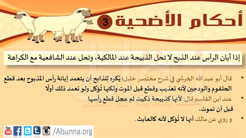 Udhiah Qurban Rules (3)
