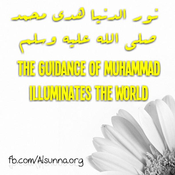 Muhammad Noor نور الدنيا هدي محمد