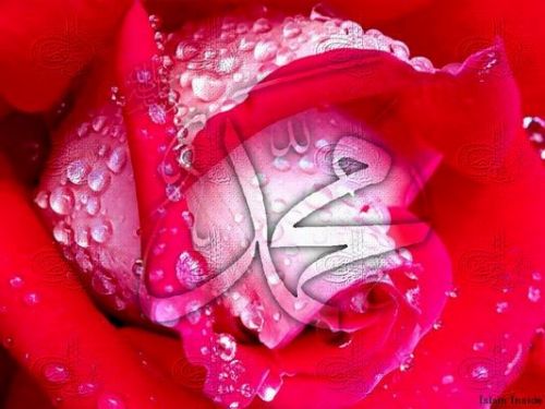 Celebrationg The Birth of Prophet Muhammad