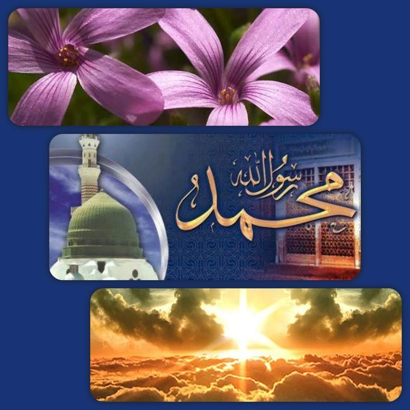 Floral محمد أجمل