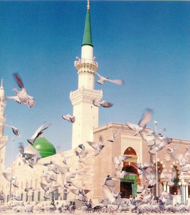 Madinah - Prophet's Green Dome Mosque