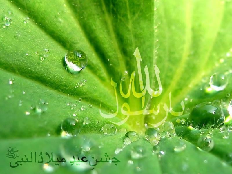Ya Rasulallah - Jashn Miladun-Nabiy