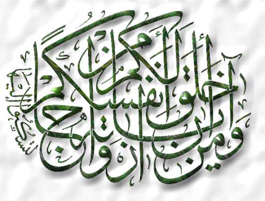 Arabic Fonts