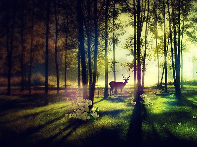 033 animals1