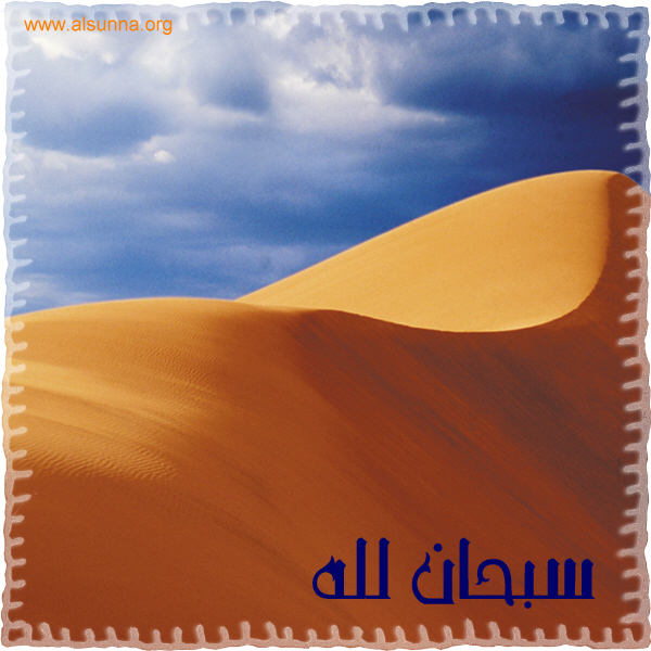 Islamic Photos