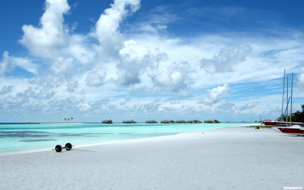 Alsunna.org Natural Wallpapers (19)