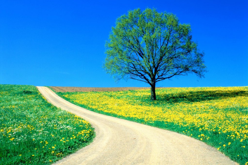 Alsunna.org Natural Wallpapers (25)