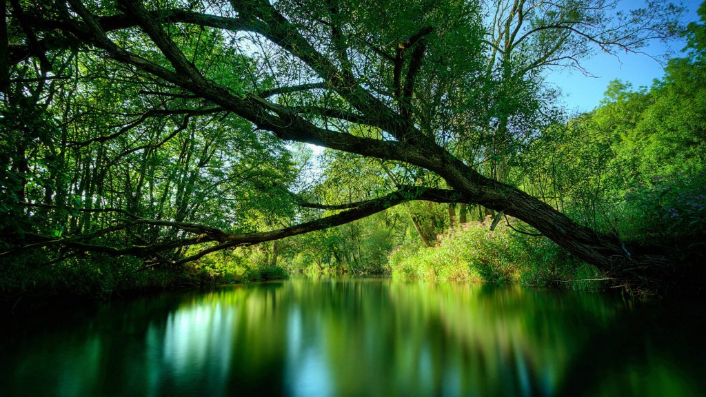 Alsunna.org Natural Wallpapers (37)