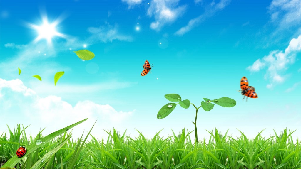 Alsunna.org Natural Wallpapers (42)