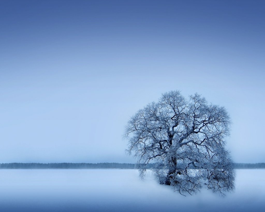 Alsunna.org Natural Wallpapers (43)