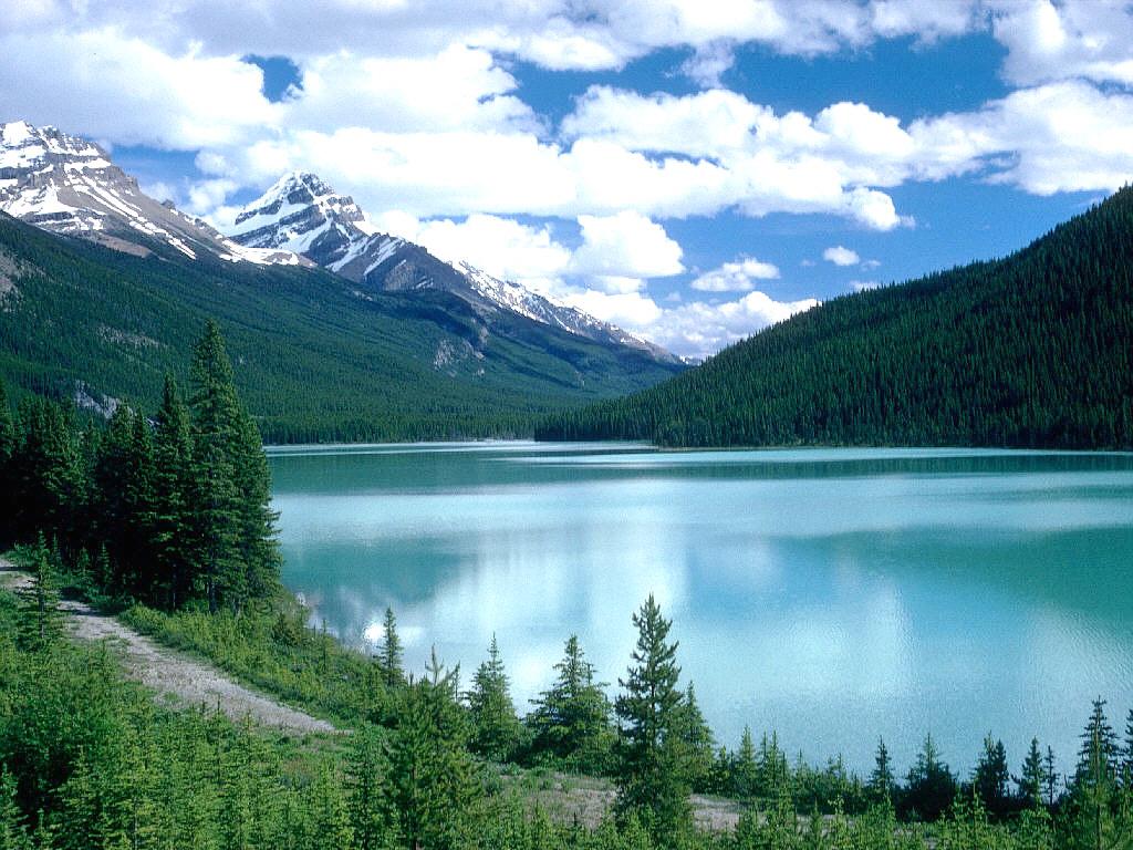 Alsunna.org Natural Wallpapers (45)