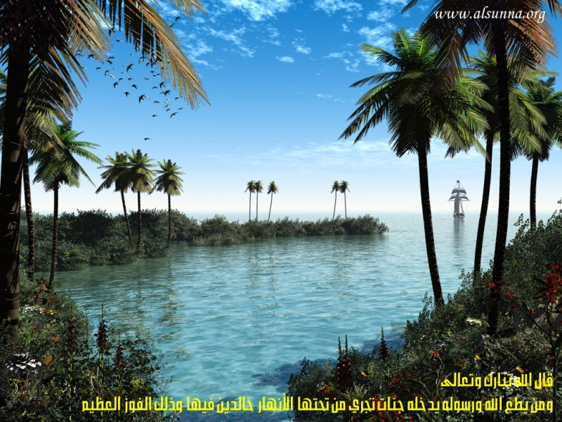 Natural Wallpaper