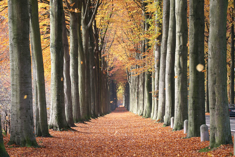 Amazing Pictures nature alsunna.org (14)